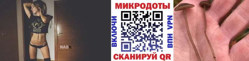 Псилоцибиновые грибы мицелий  закладки  blacksprut tor  Урус-Мартан 